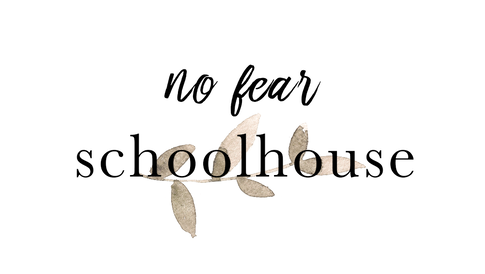 No Fear Schoolhouse